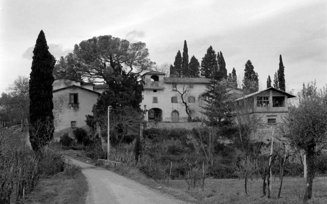 La villa e il pollaio