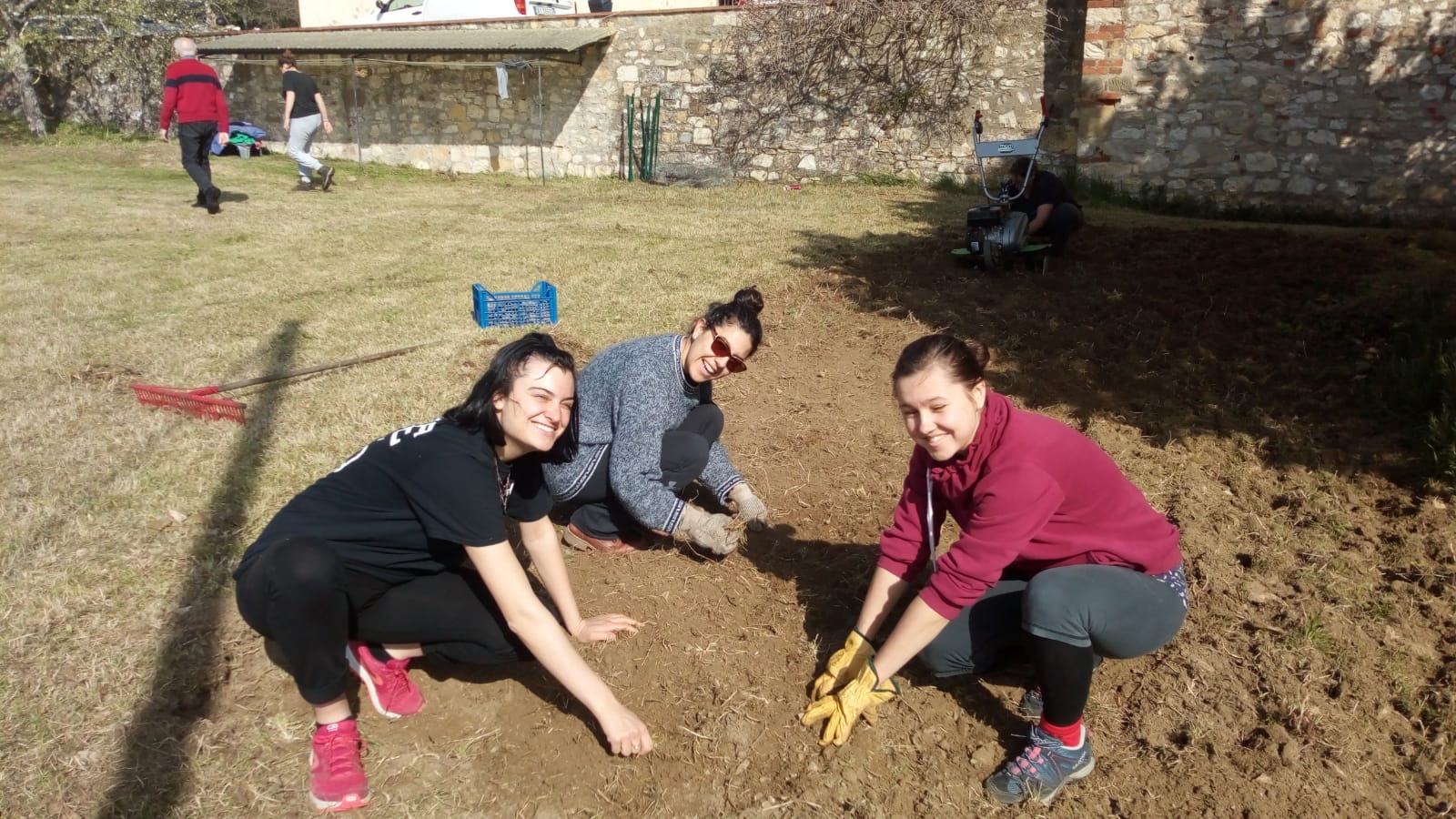 Working in the garden