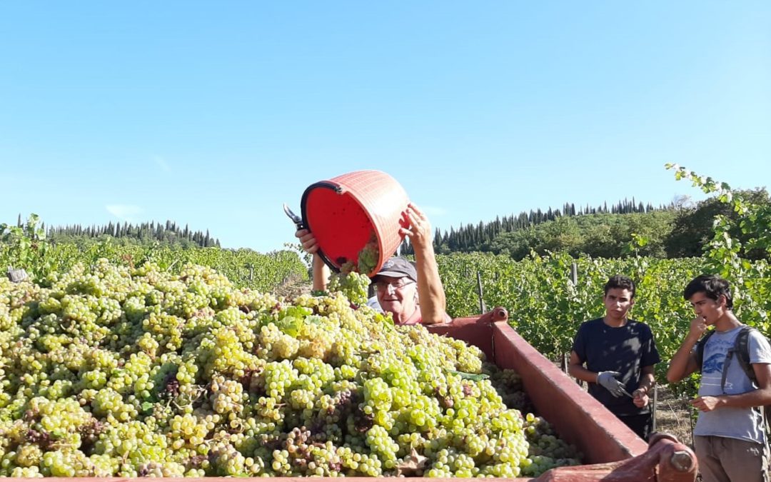 How good it is to harvest!