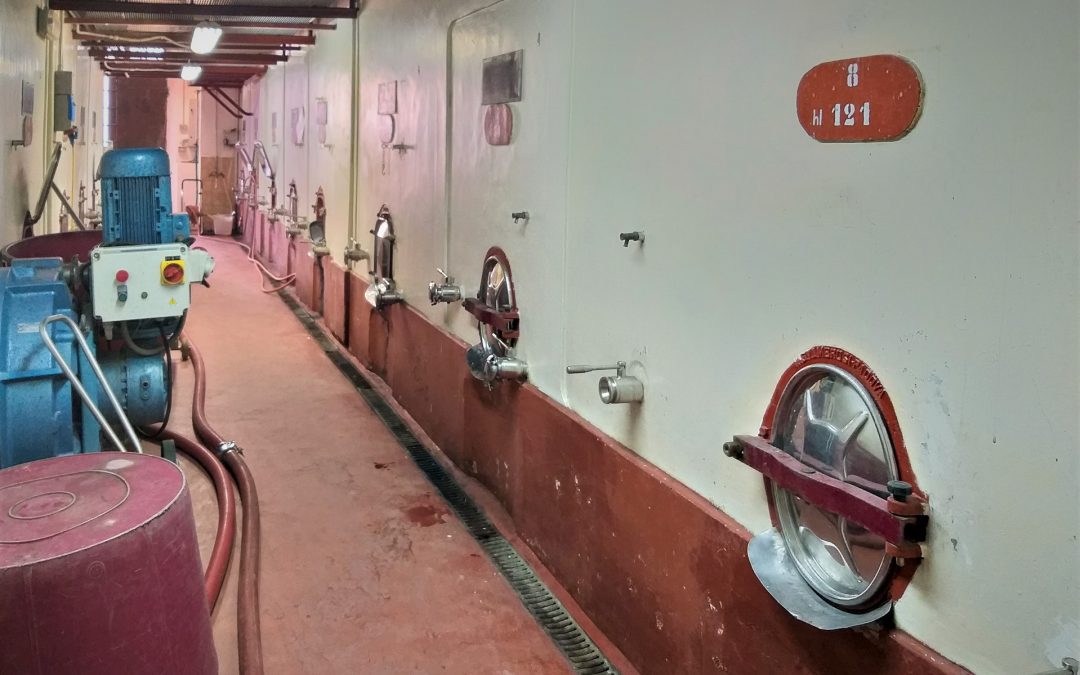 Una cantina per crescere e la fiducia nelle donazioni