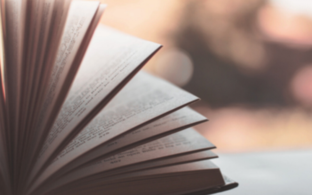 Il libro “La setta divina”: la posizione del Movimento dei Focolari