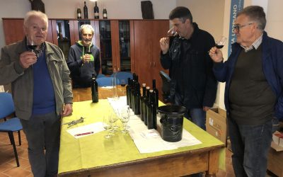 Vendemmia 2021, bianchi e rossi di qualità superiore