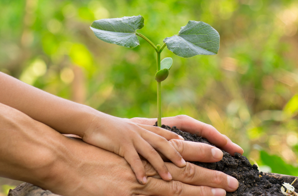 The glass half full and Laudato Si’ Week