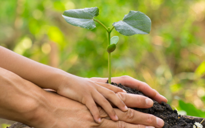 Il bicchiere mezzo pieno e la Settimana Laudato Si’