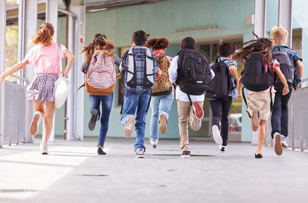 The teaching of Civics and the SEC