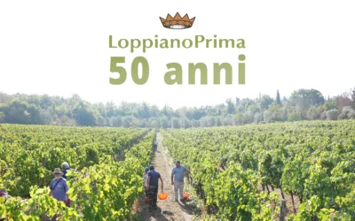 Loppiano Prima Cooperative: Love of Creation, a Prophecy on the Way