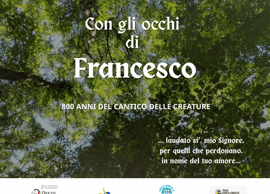 Con gli occhi di Francesco
